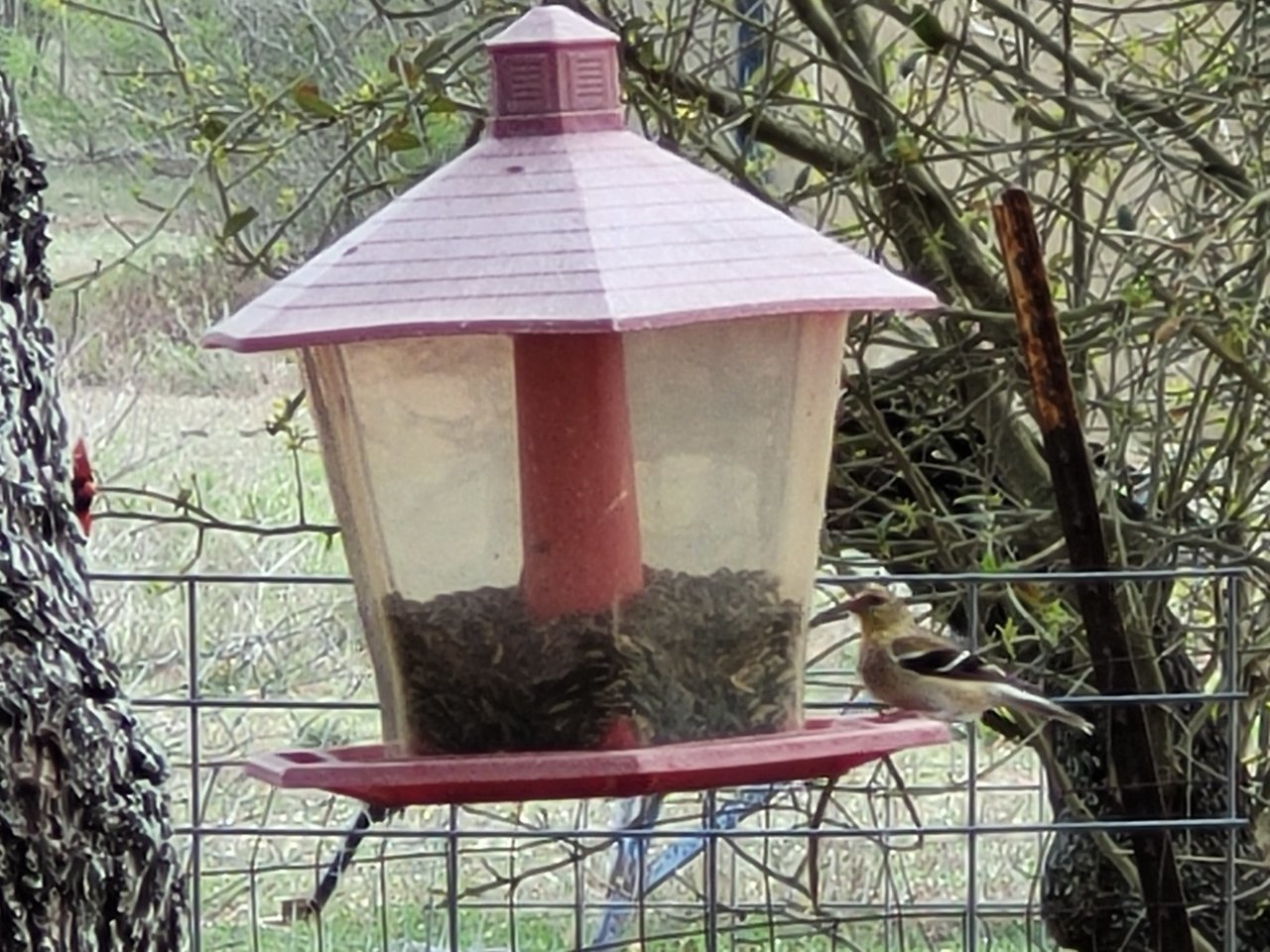 20210324_151307.jpg