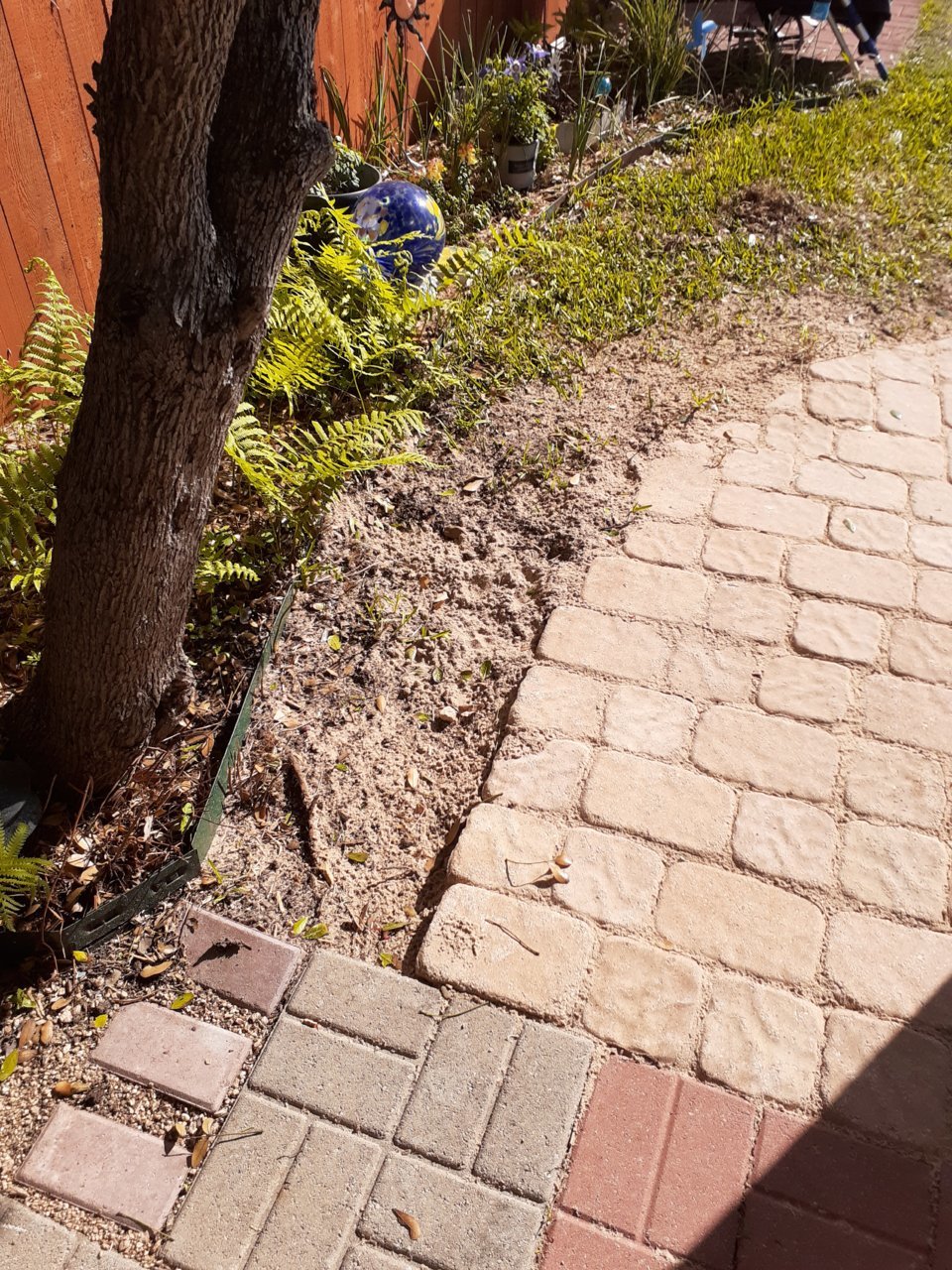 20210325_102129.jpg