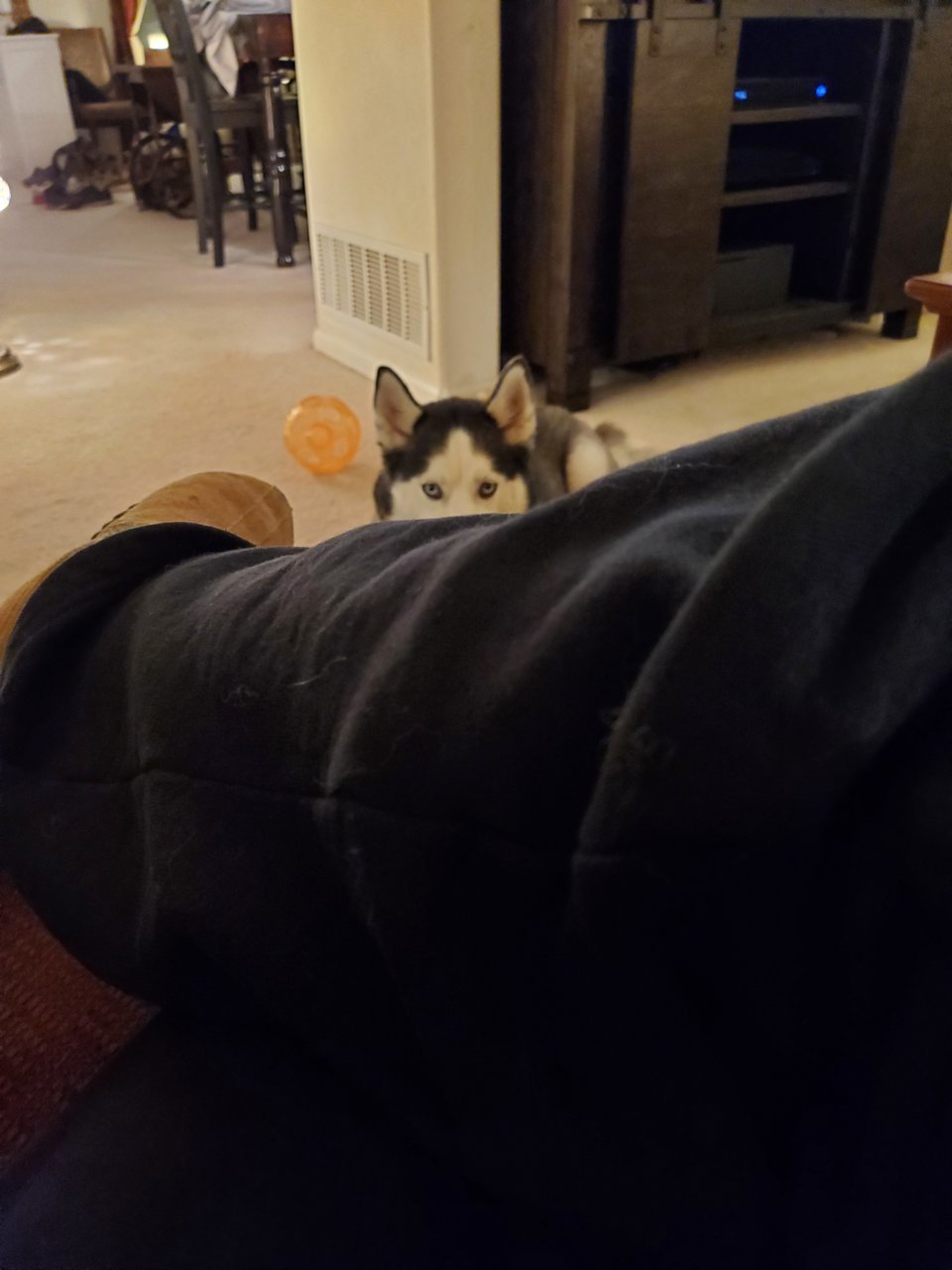 20210326_213637.jpg