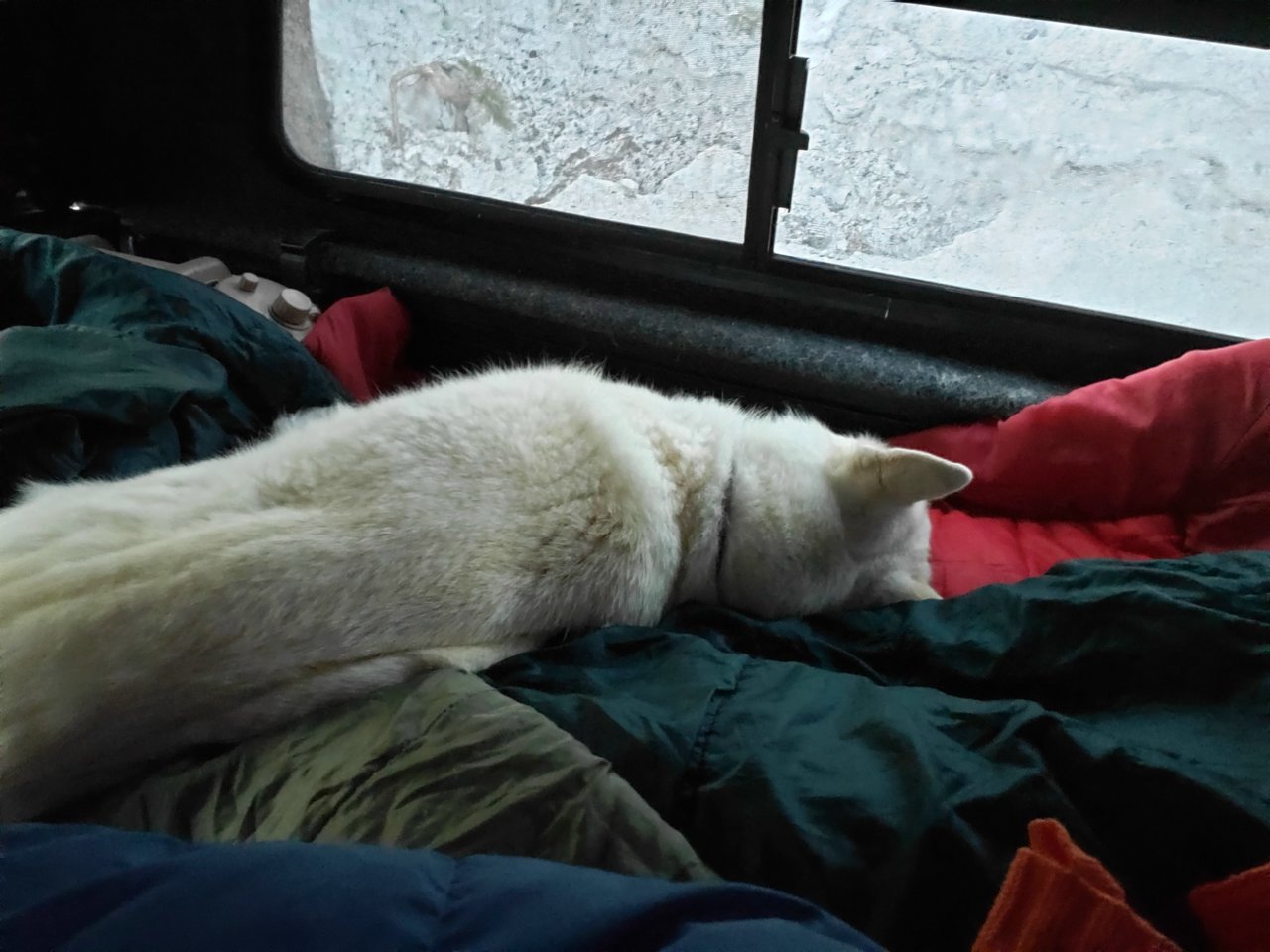 20210327_070130.jpg