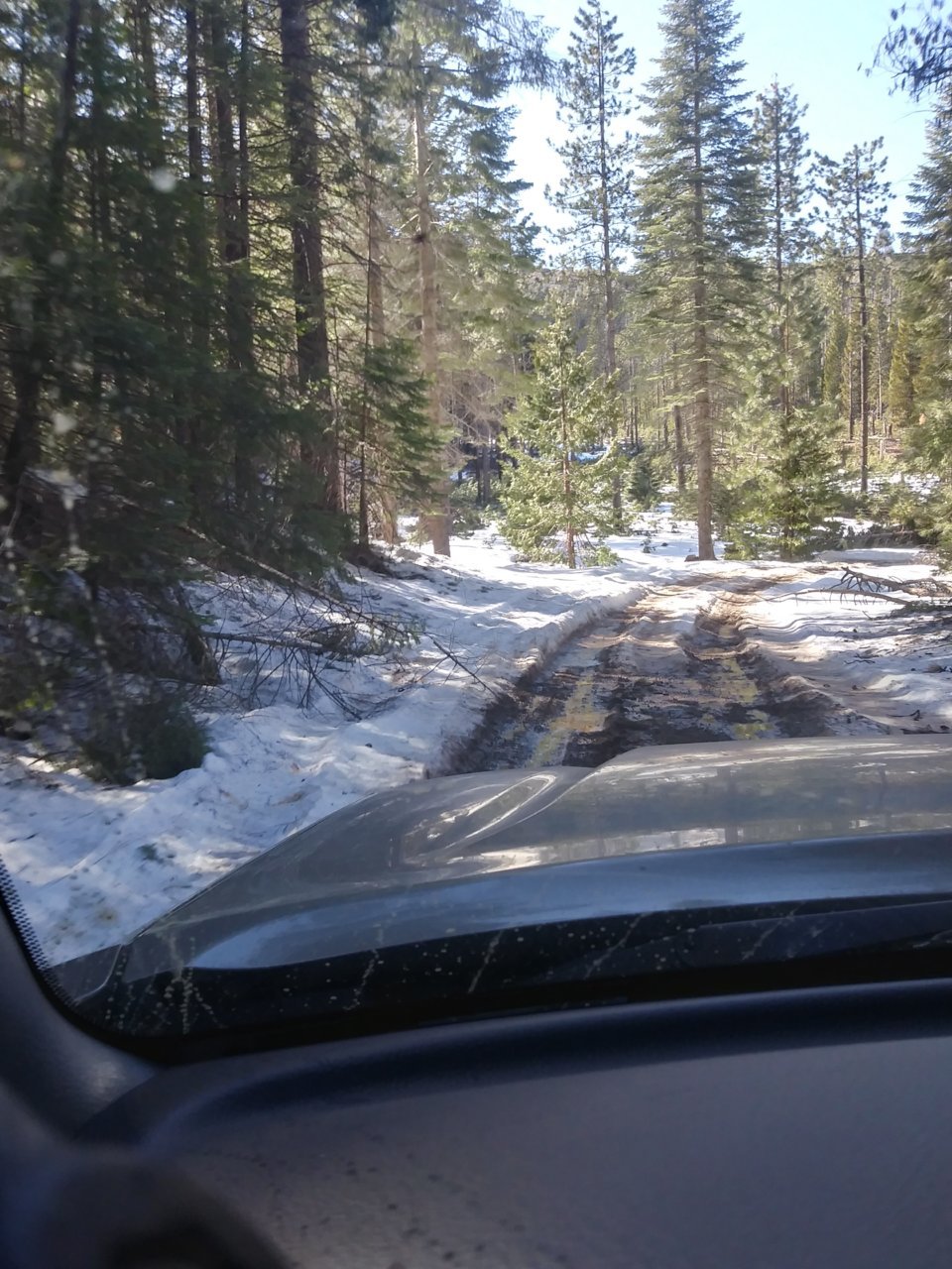 20210327_160342_HDR.jpg