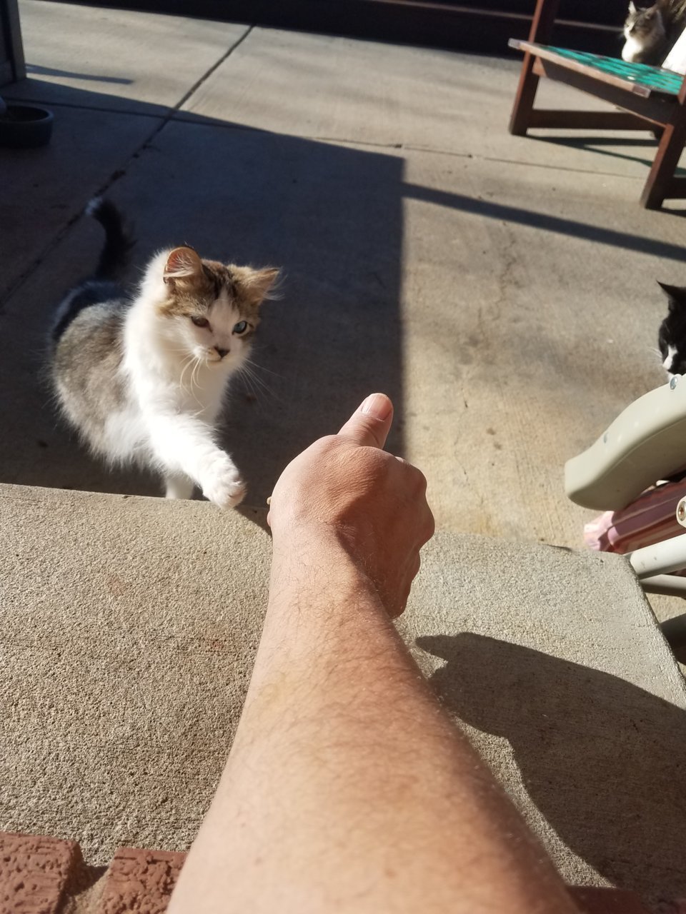 20210328_093606.jpg
