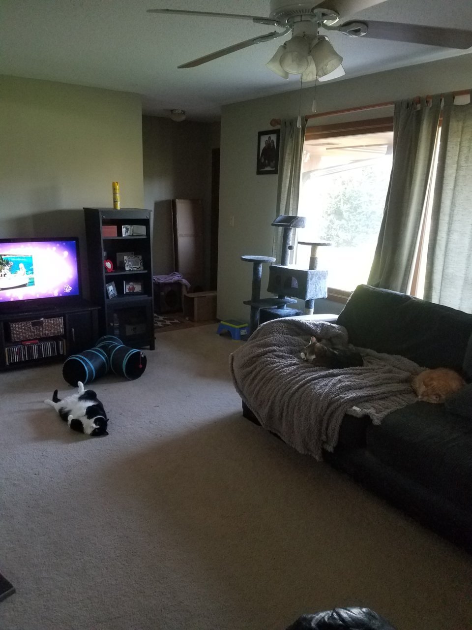 20210329_185815.jpg