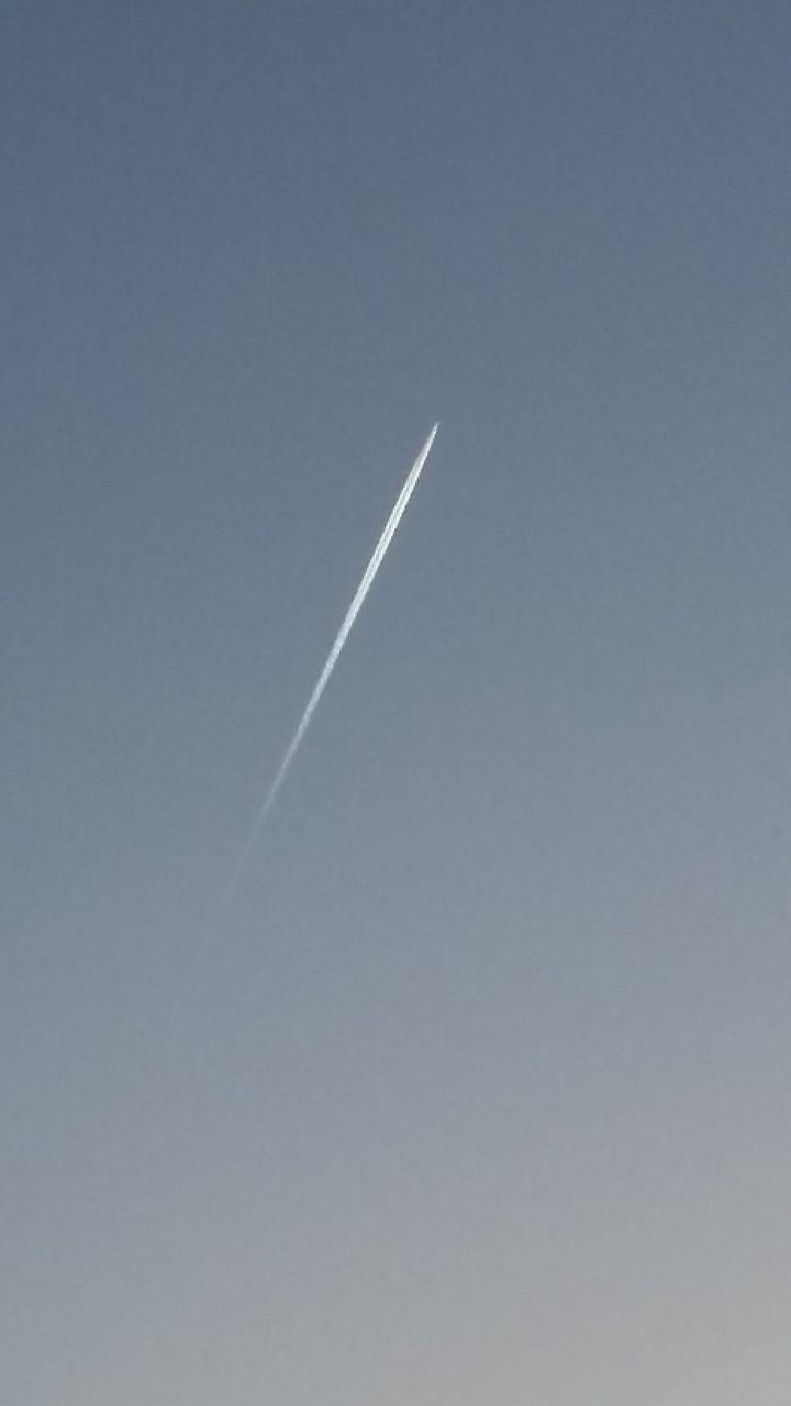 20210330_065408.jpg