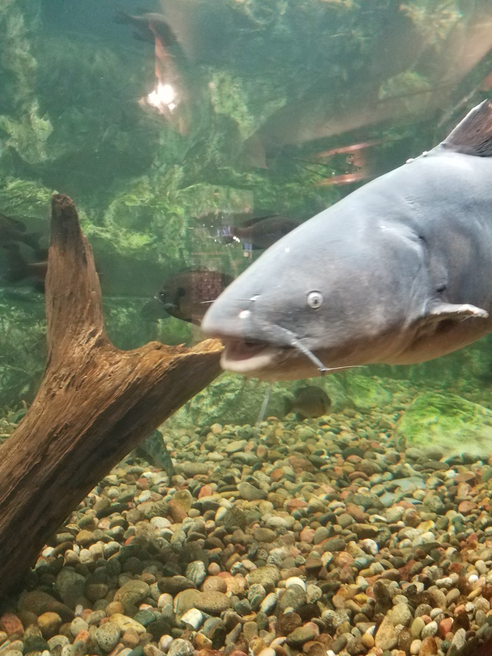 20210330_114307.jpg