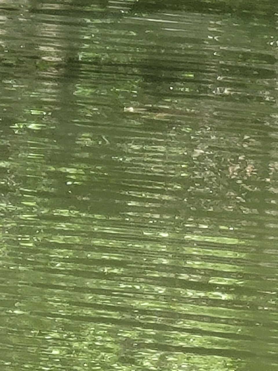 20210401_104723.jpg