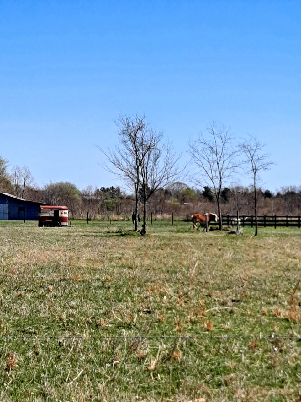 20210401_125656.jpg