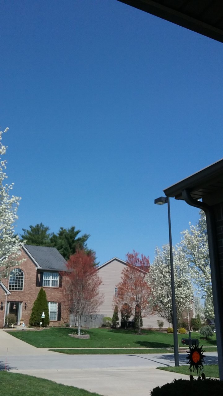 20210404_115818.jpg