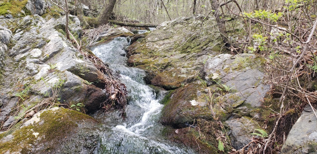 20210404_133840.jpg
