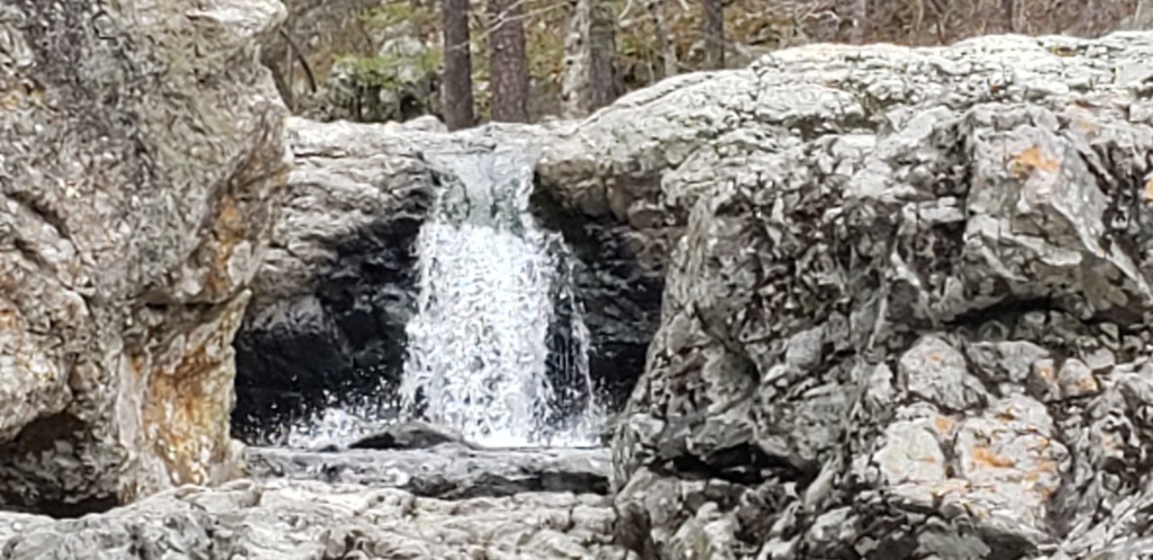 20210404_142953.jpg