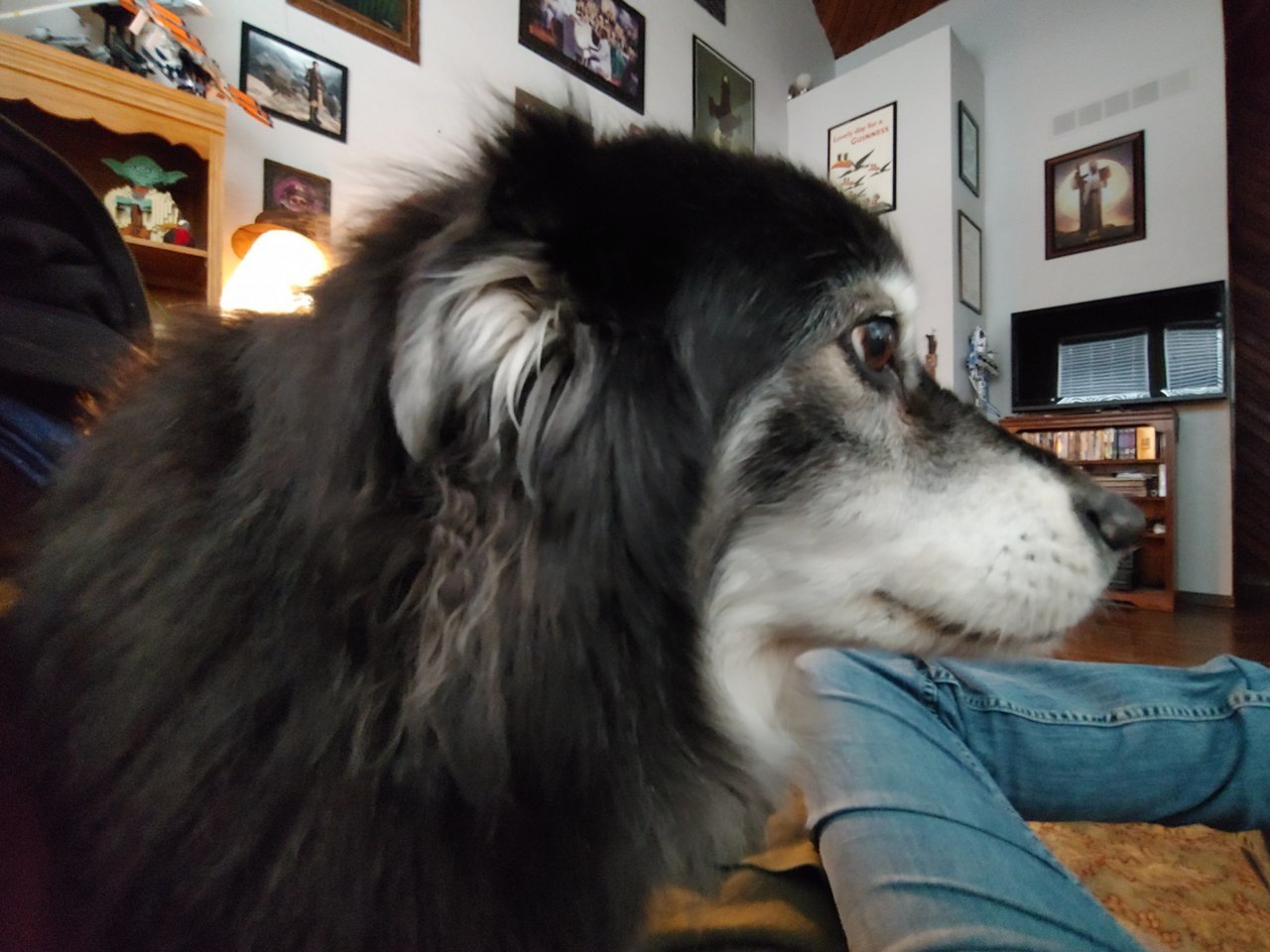 20210408_174516.jpg