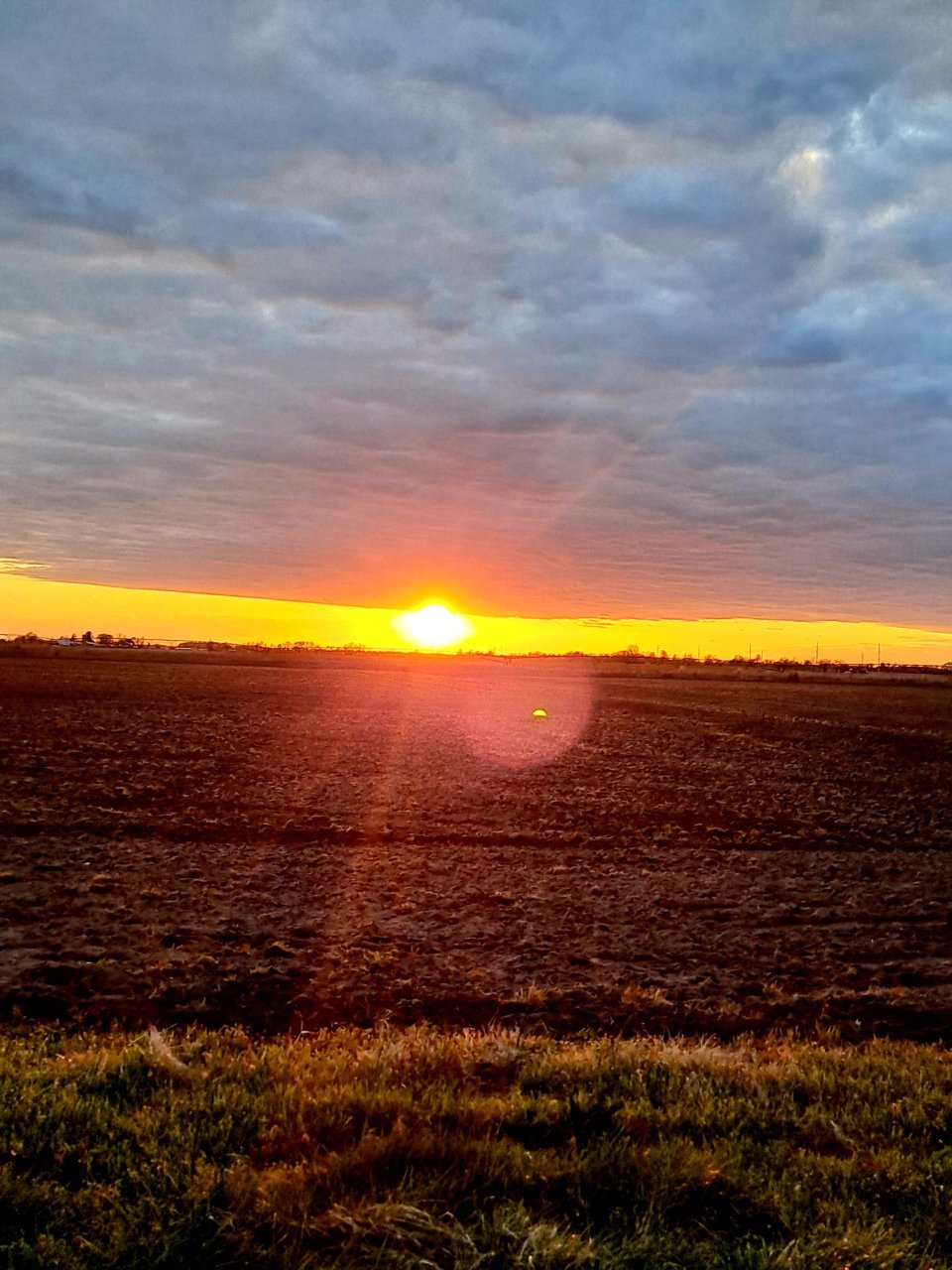 20210408_191421.jpg