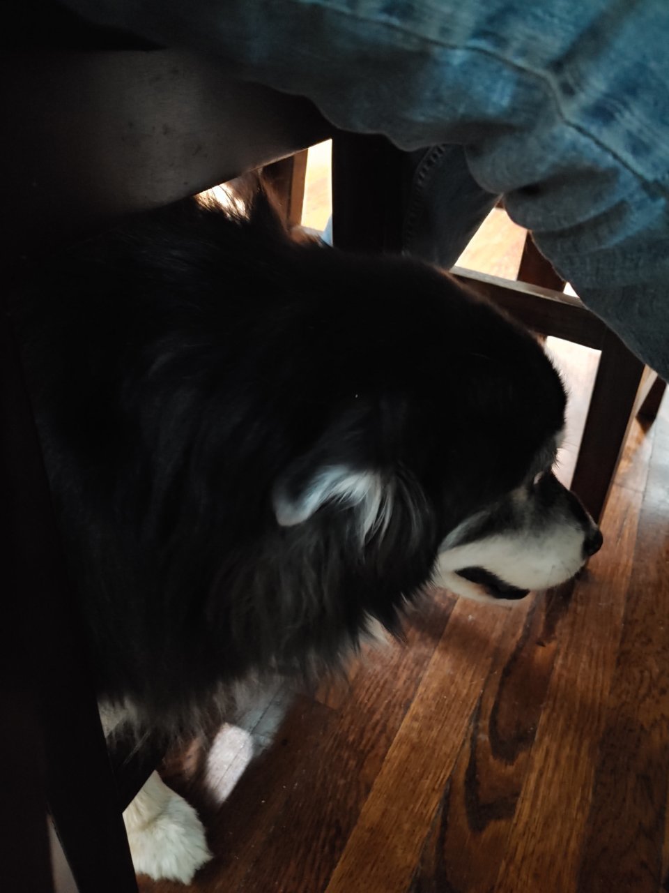 20210409_133215_HDR.jpg