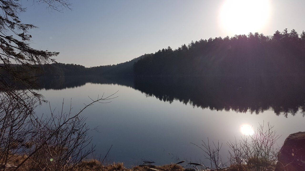 20210410_075134.jpg