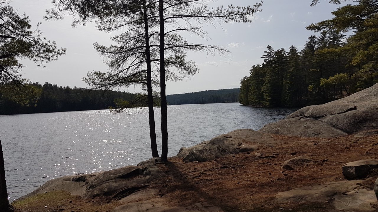 20210410_155720-1.jpg