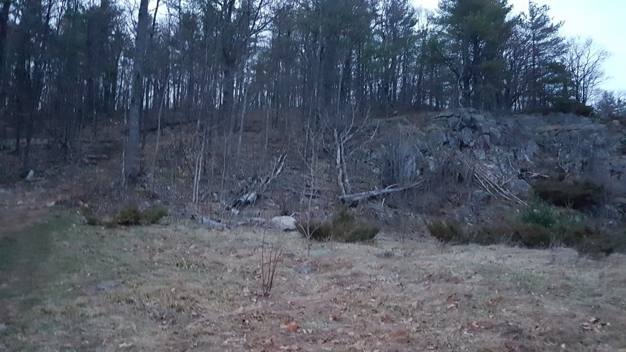 20210410_200234.jpg
