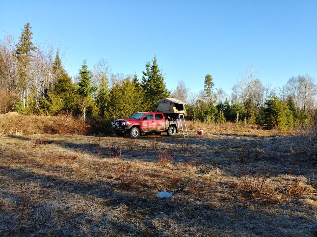 20210411_073541_HDR.jpg