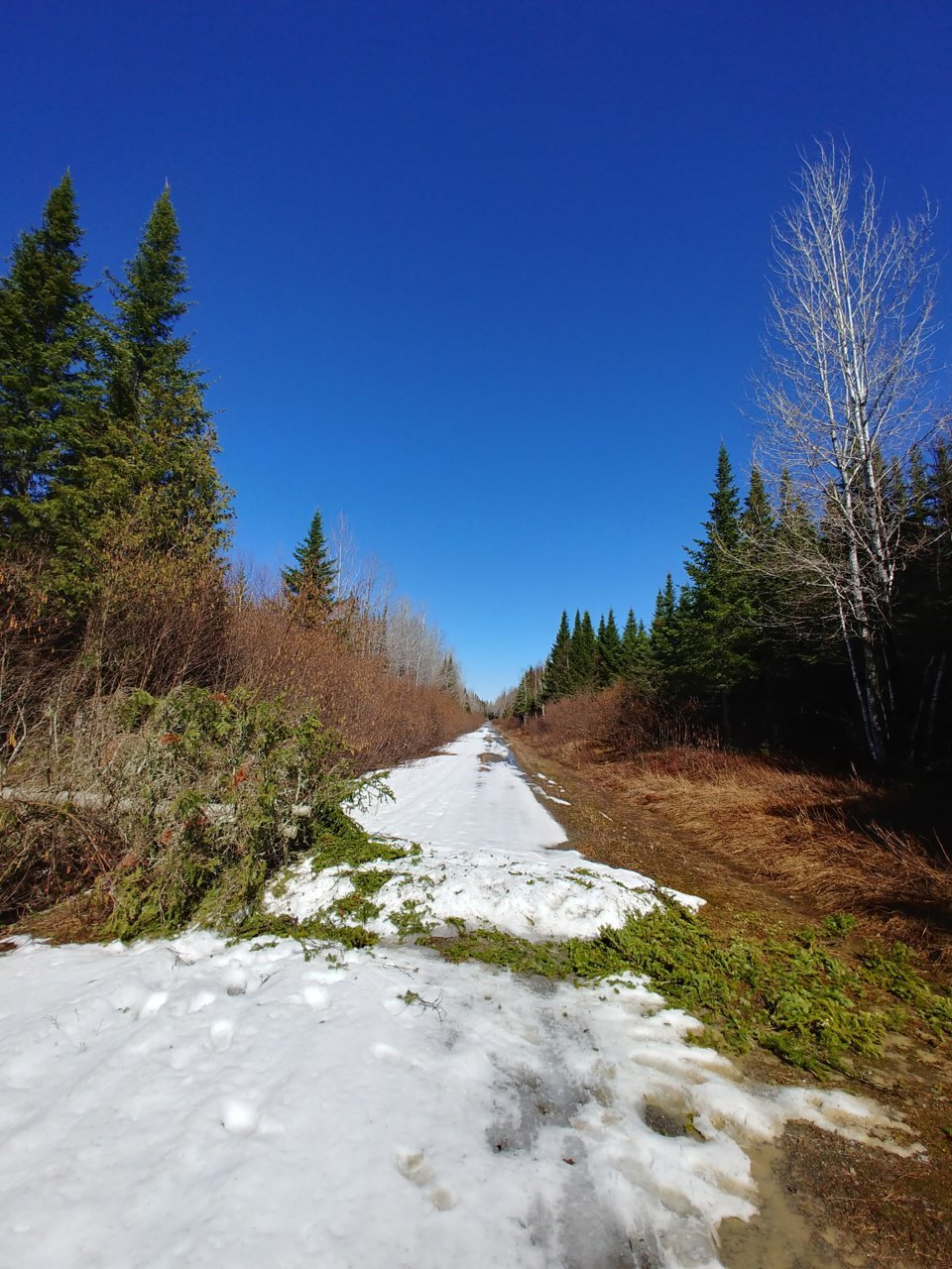 20210411_102609_HDR.jpg