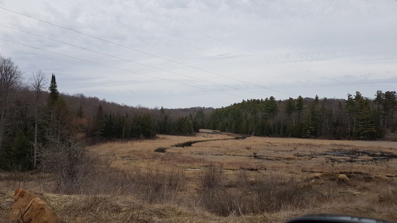 20210411_151357.jpg