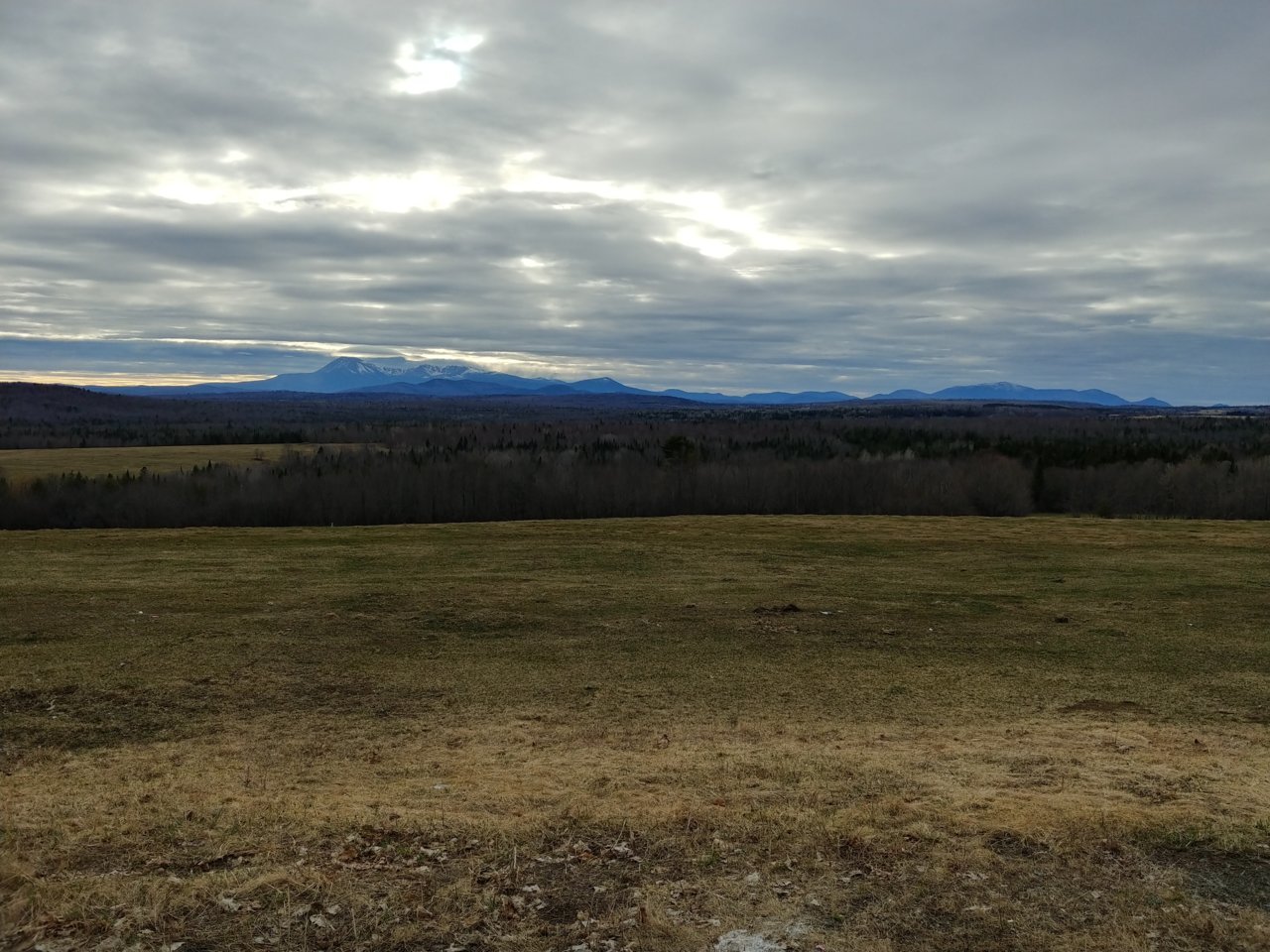 20210411_173913_HDR.jpg