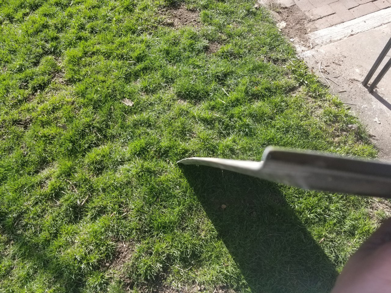 20210411_174051.jpg