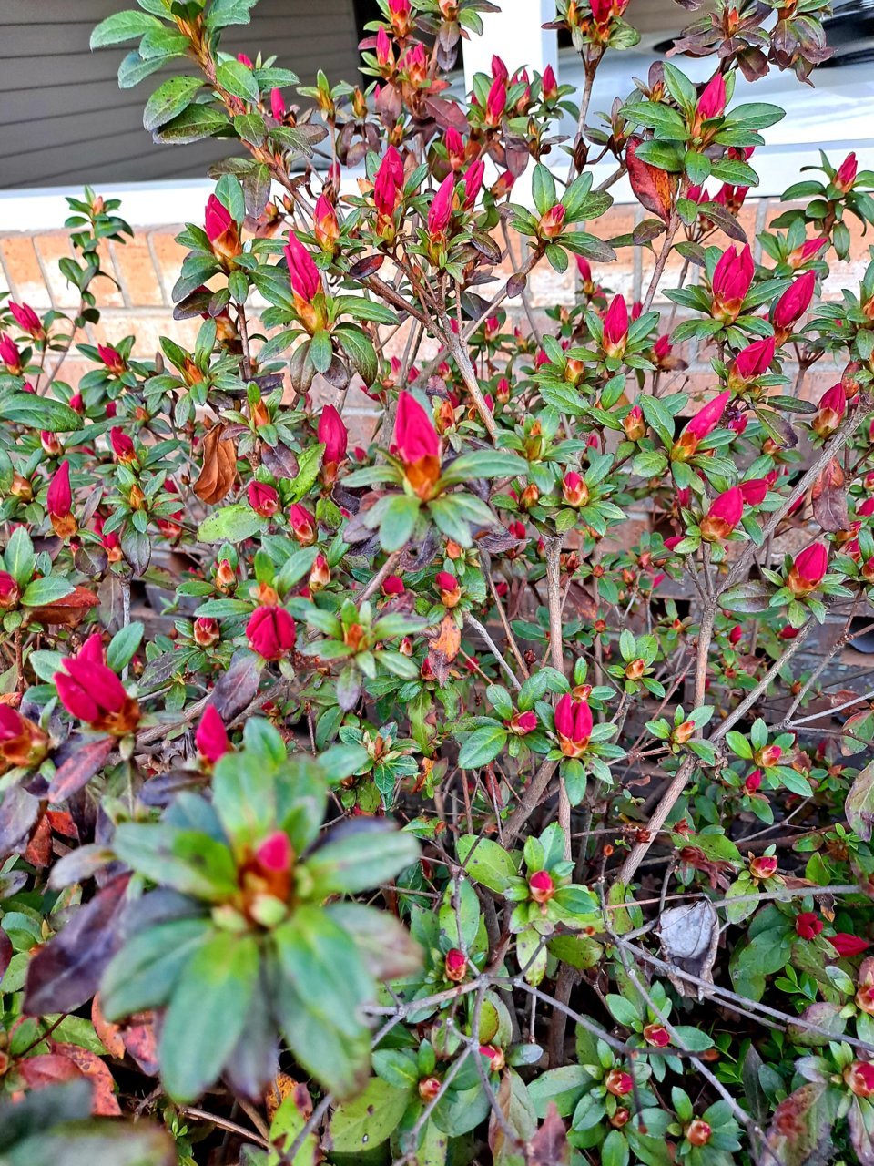 20210412_180912.jpg