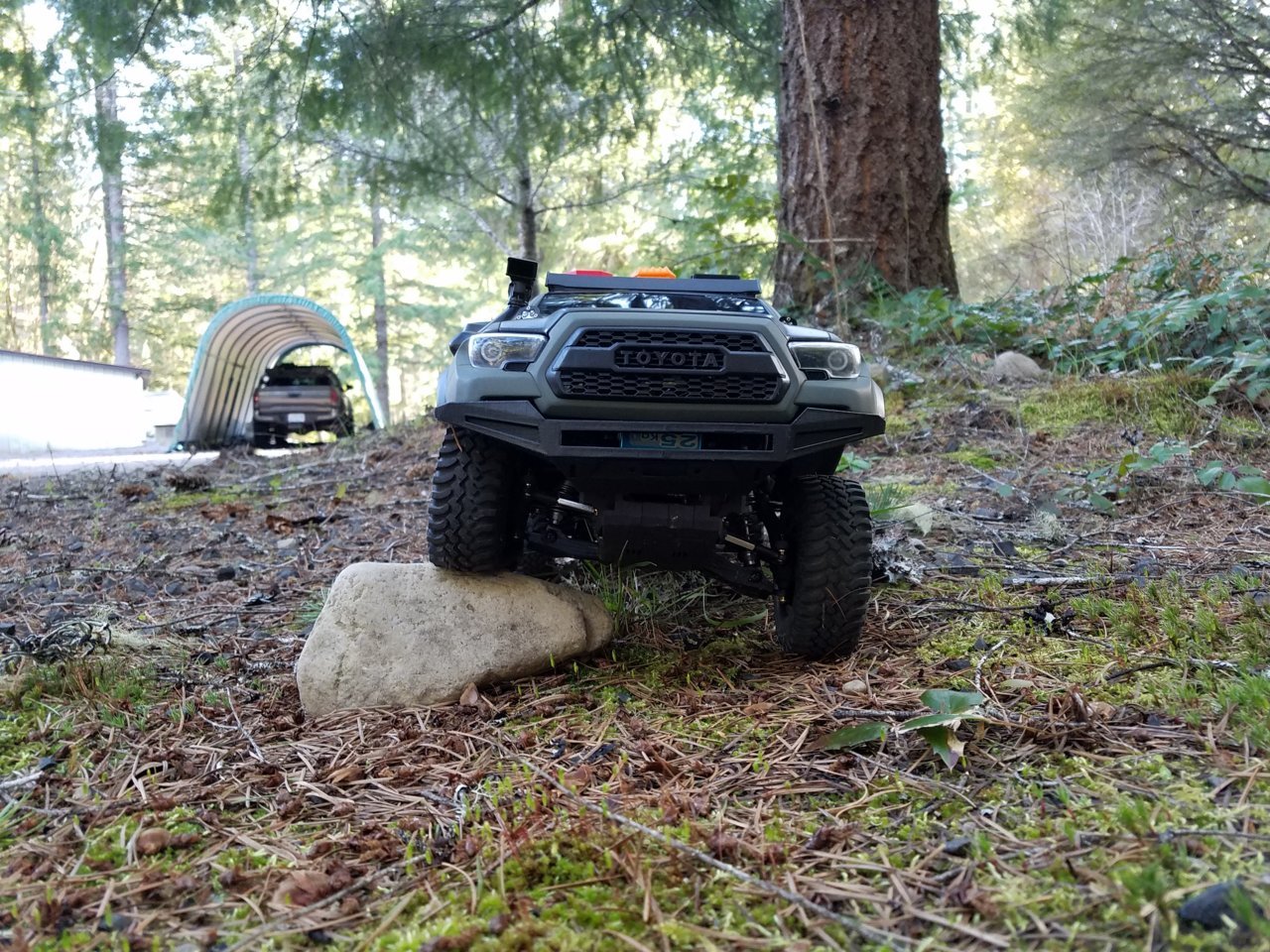 20210412_181525.jpg