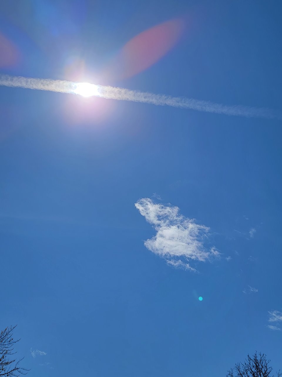 20210413_132024.jpg