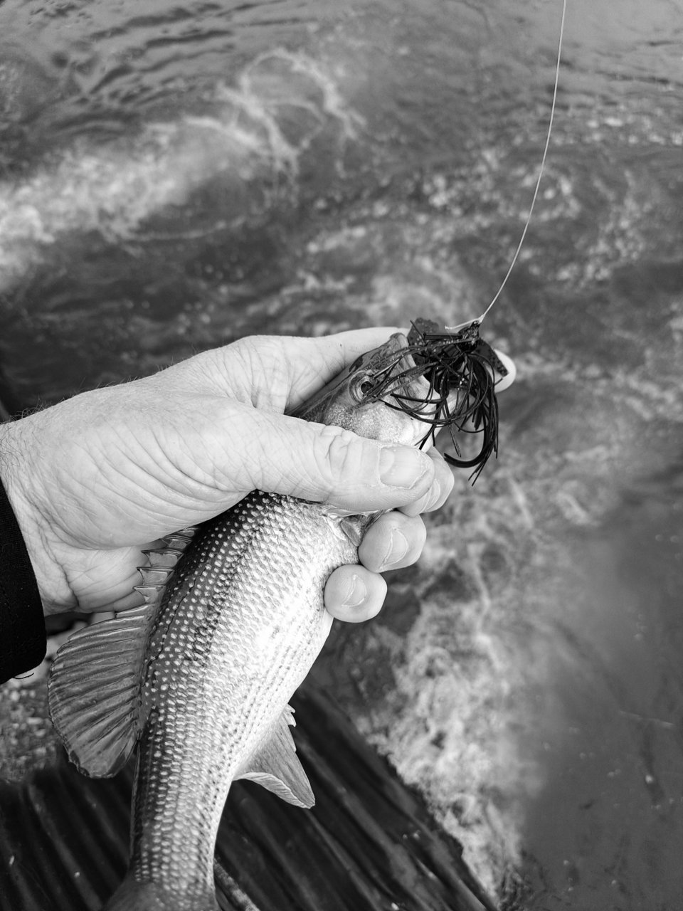 20210414_161218.jpg