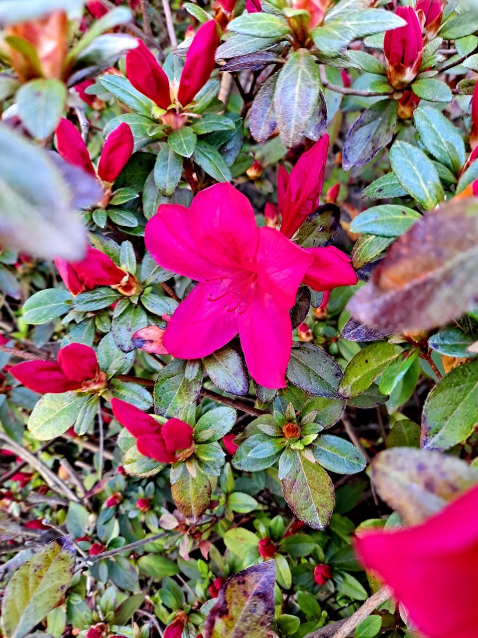 20210415_102350.jpg