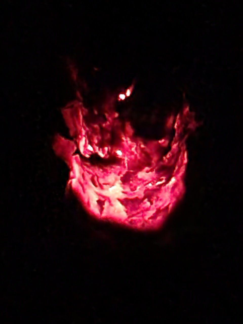 20210416_220004.jpg