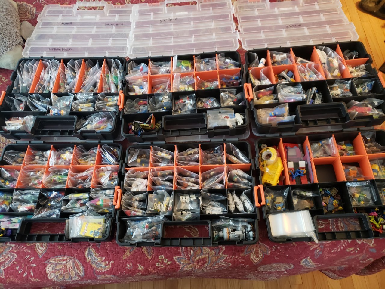 20210417_144855.jpg