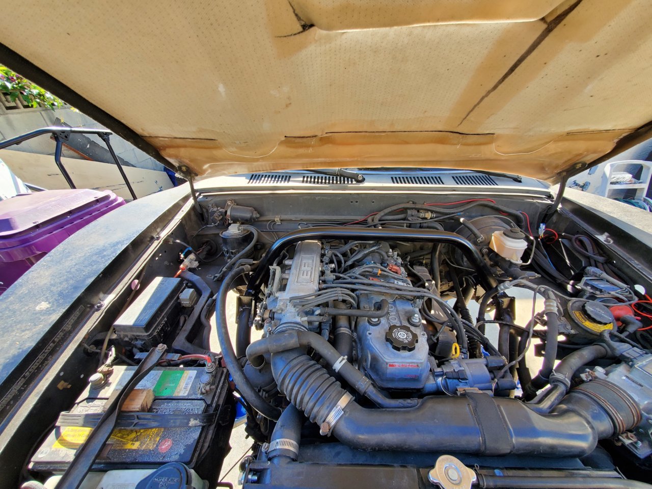 20210418_163355.jpg