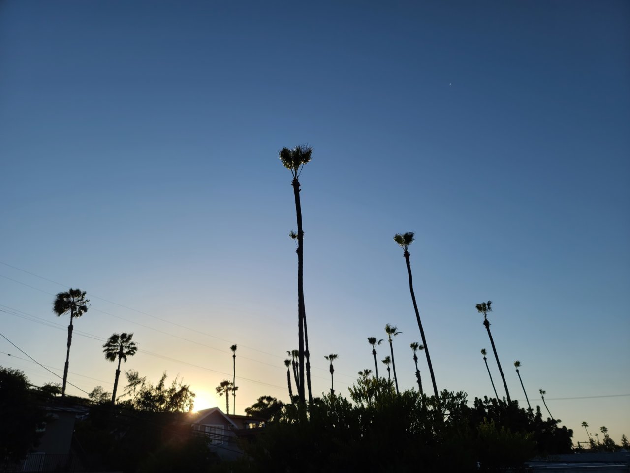20210418_184753.jpg