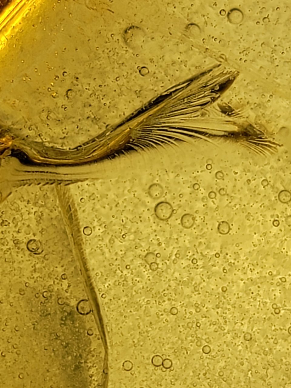 20210418_210722.jpg