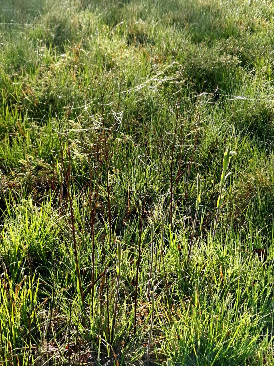 20210419_080333.jpg