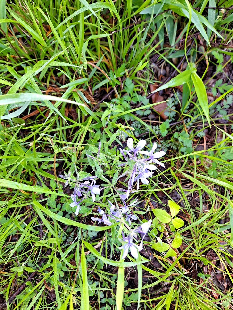 20210419_081440.jpg