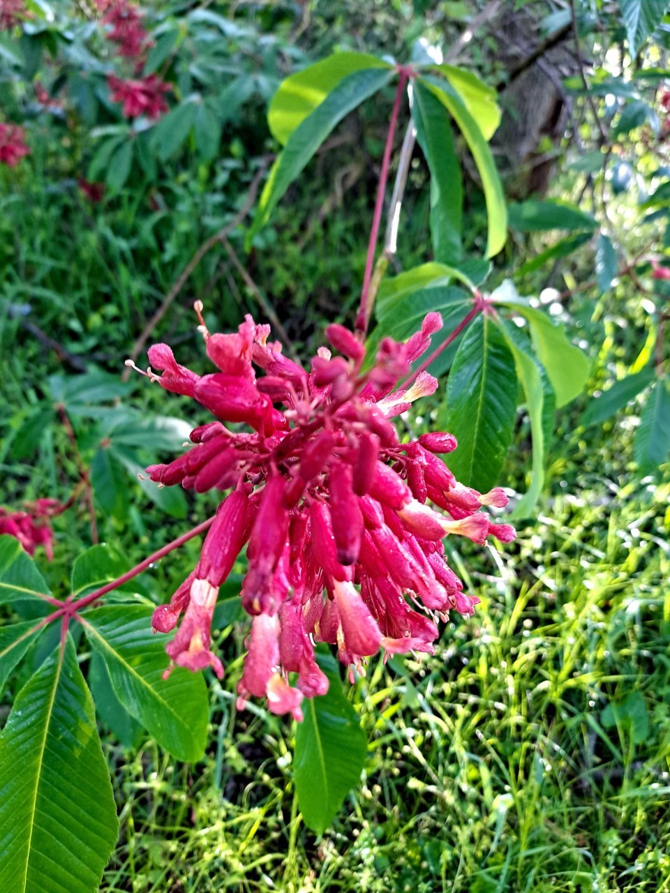 20210419_081446.jpg