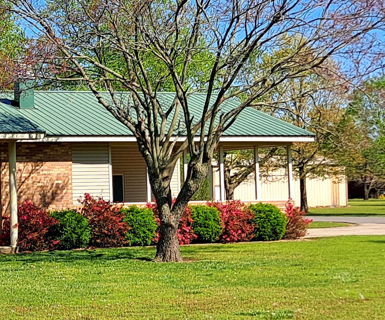 20210419_154251.jpg