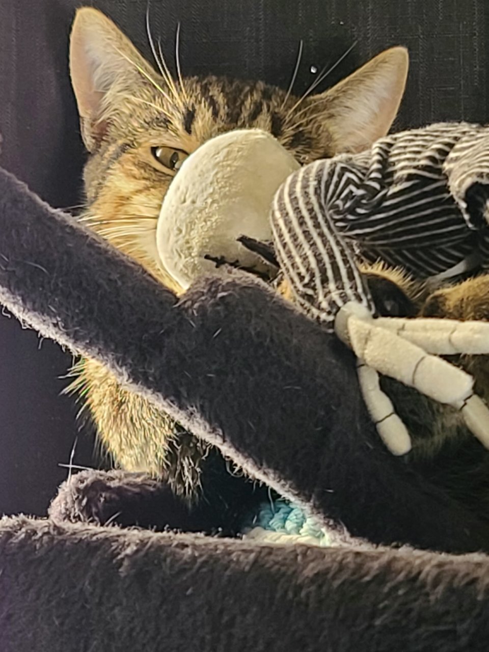 20210419_174243.jpg