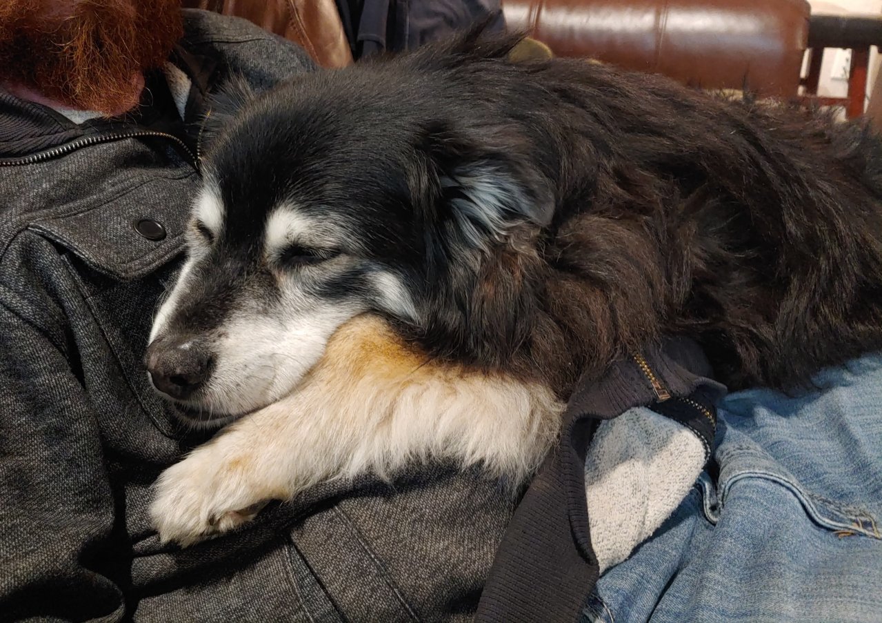 20210419_212739_HDR~2.jpg