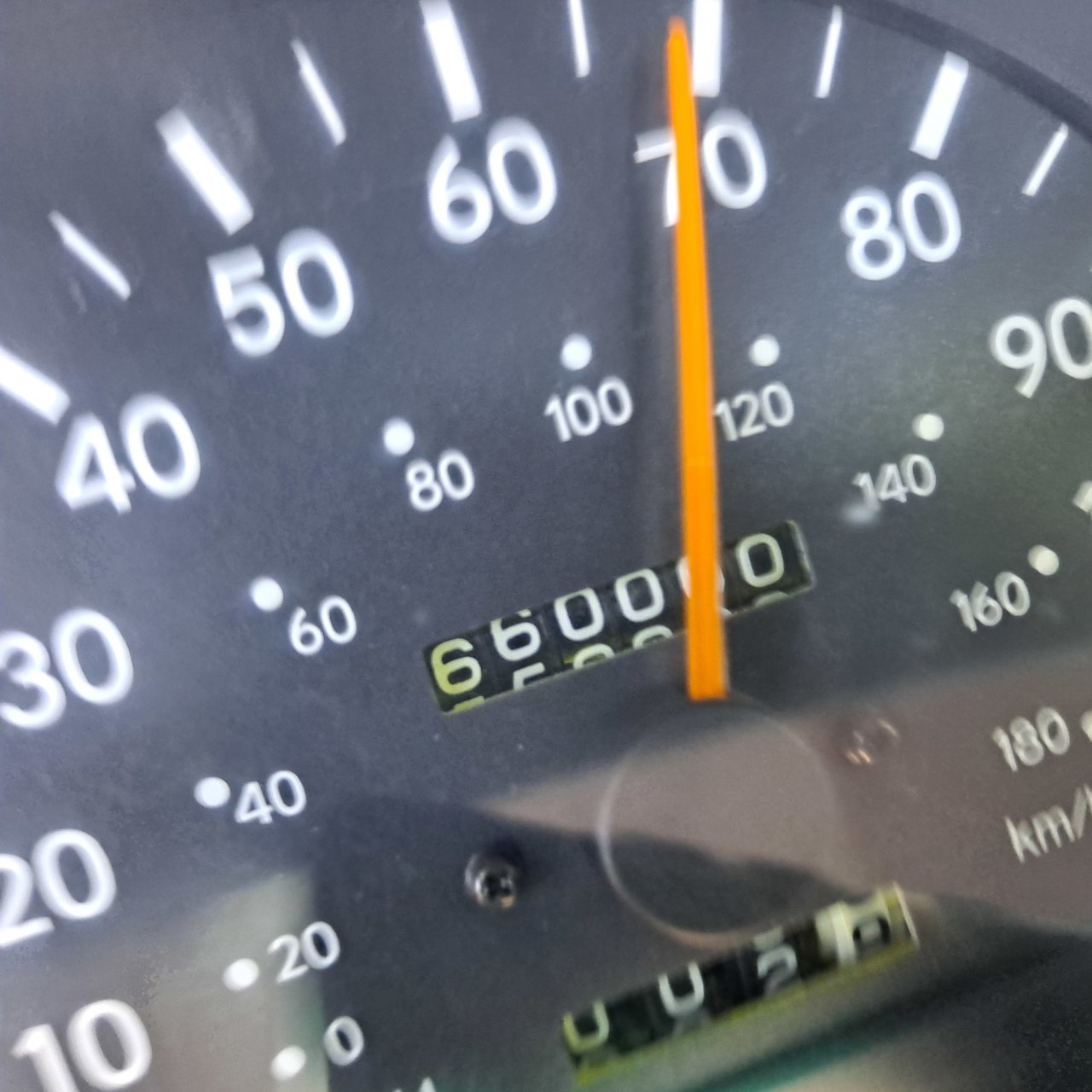 20210420_112031.jpg