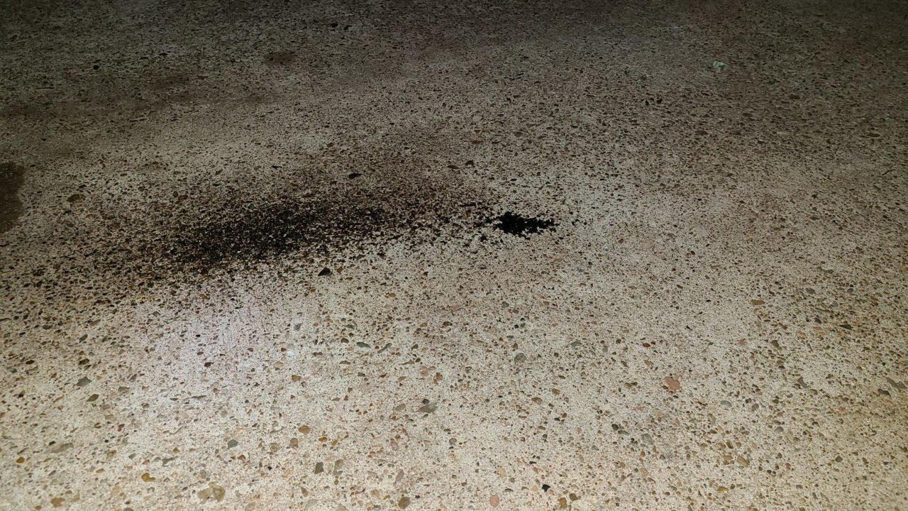 20210421_214734.jpg