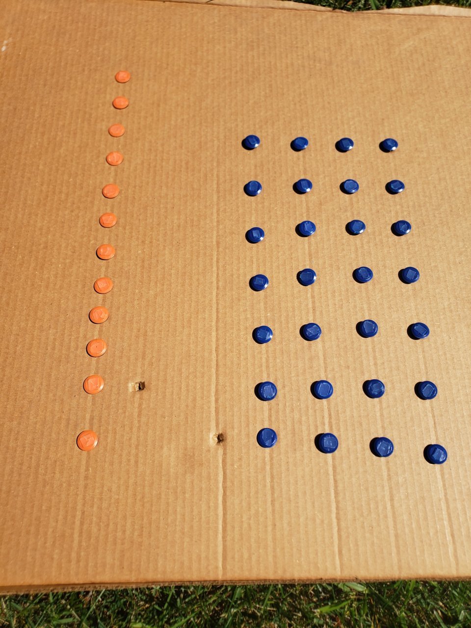20210423_145702.jpg