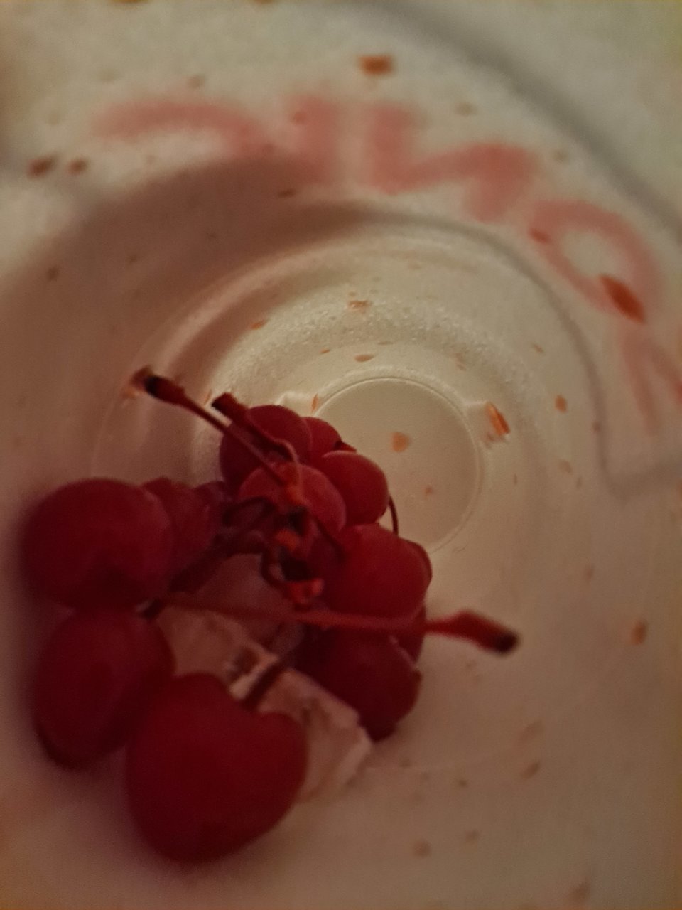 20210423_201429.jpg