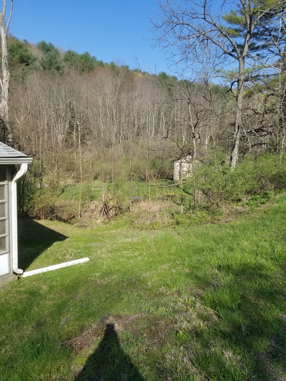 20210424_091512.jpg