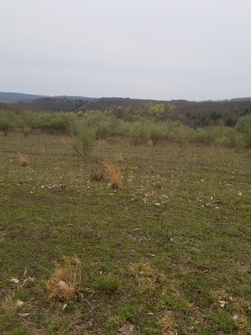 20210424_171914.jpg