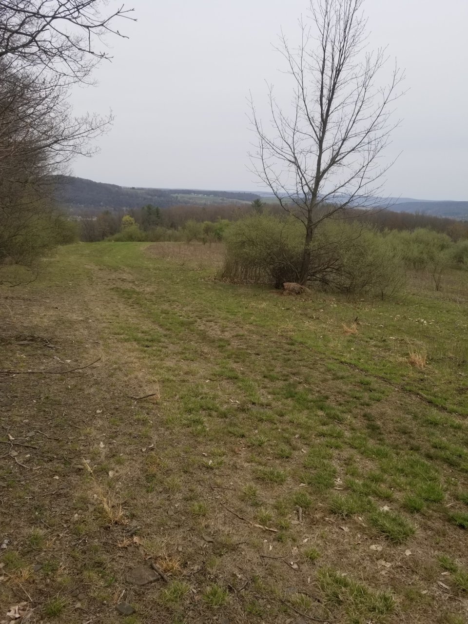 20210424_171924.jpg