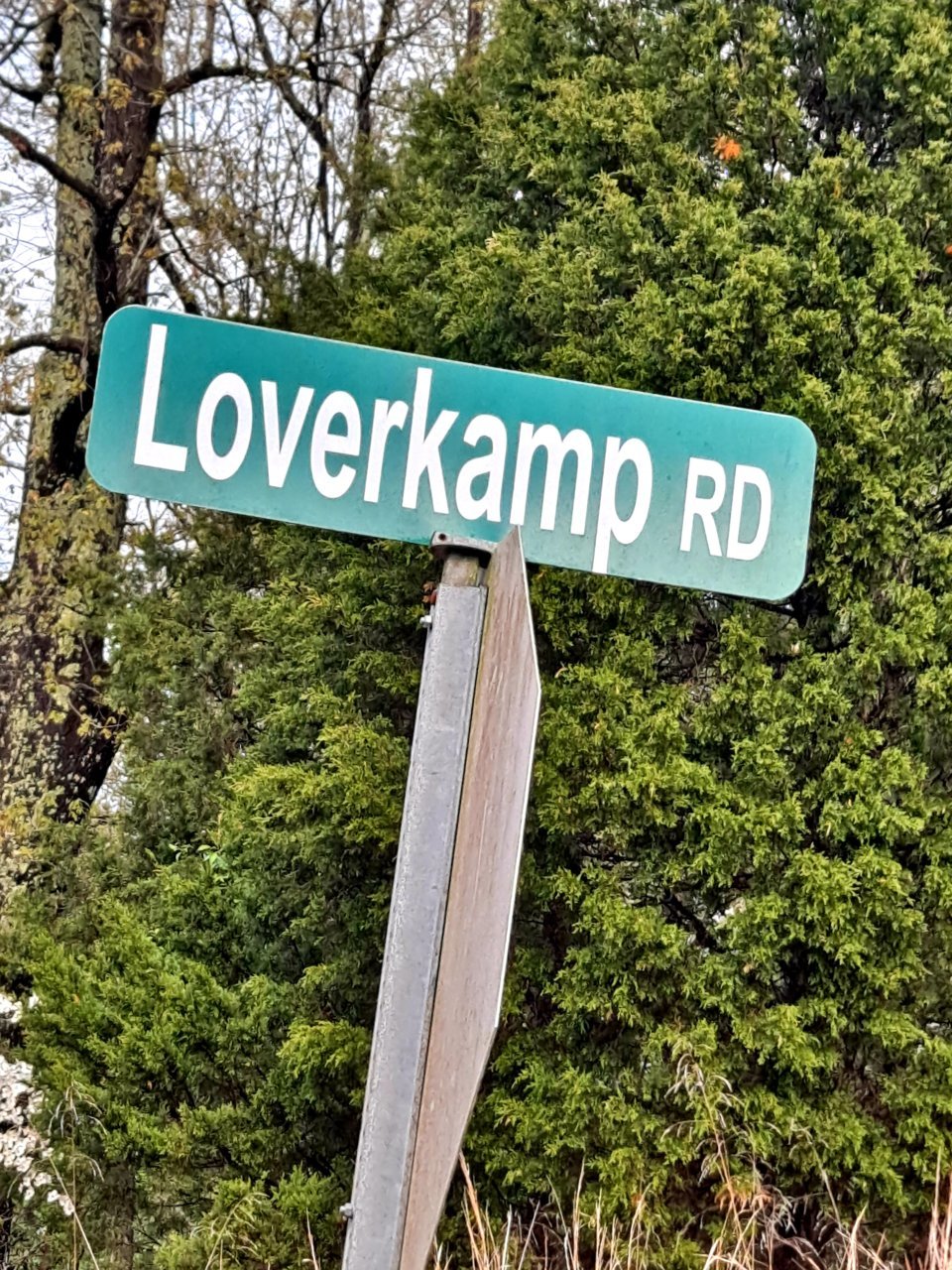 20210424_175559.jpg