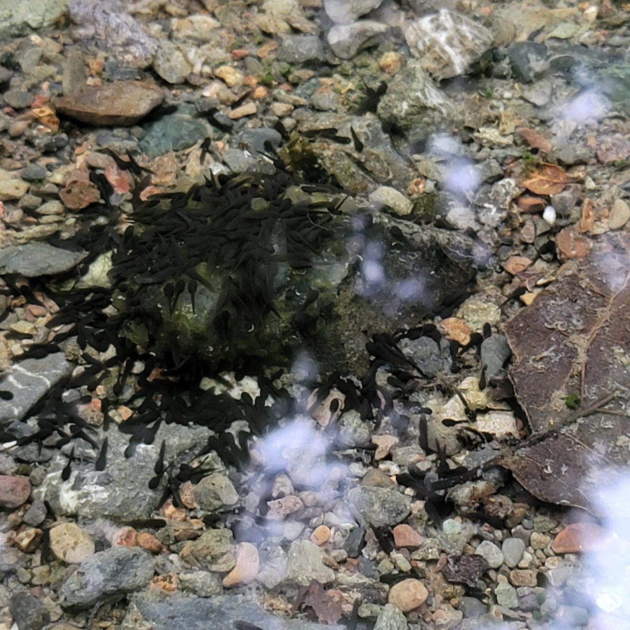 20210425_082852.jpg